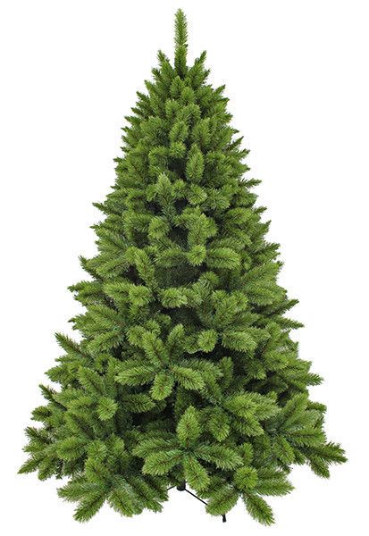 Ель 230 см, Camden