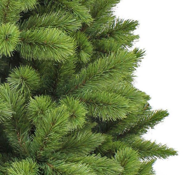 Ель 230 см, Camden