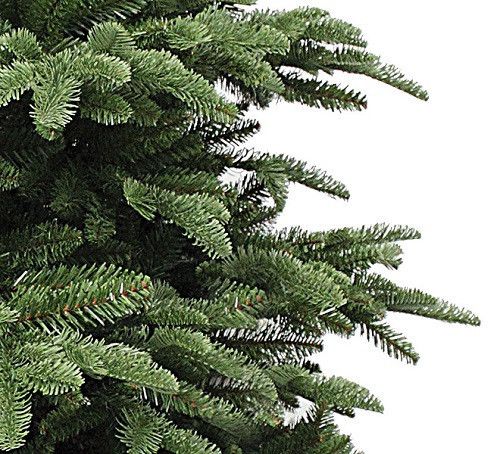Ель 2,30 м Abies Nordmann de Luxe зеленая