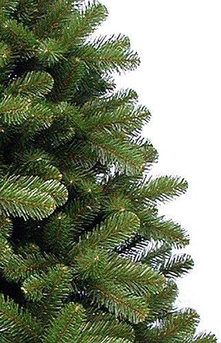 Сосна 3,65 м Scandia зеленая