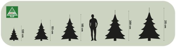Ель 2,15 м Abies Nordmann de Luxe зеленая