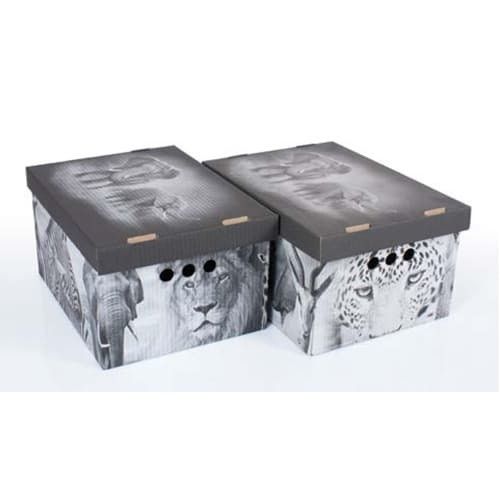 Набір картонних ящиків для зберігання А4, Safari 2шт