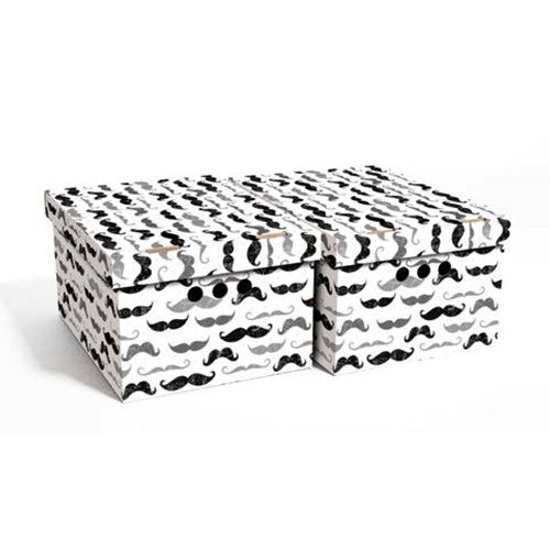 Набір картонних ящиків для зберігання А4, вуса 2шт