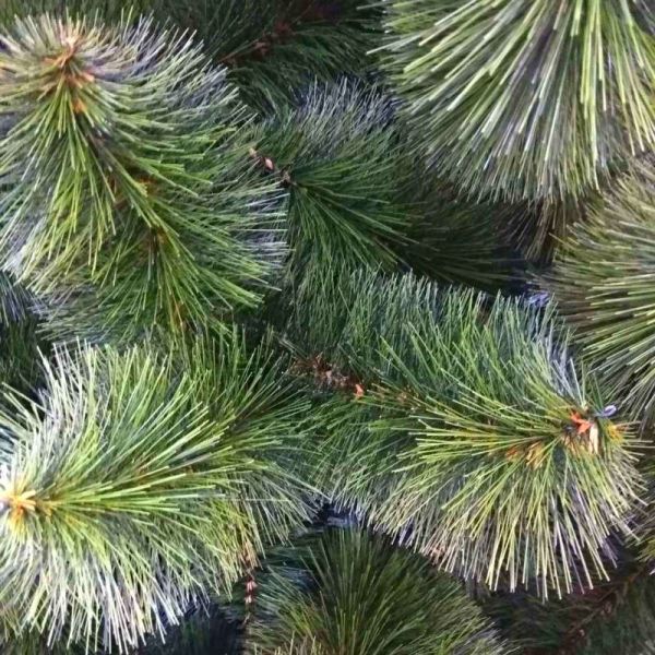 Искусственная новогодняя сосна КРЫМСКАЯ ЗЕЛЁНАЯ МИКС 100 см