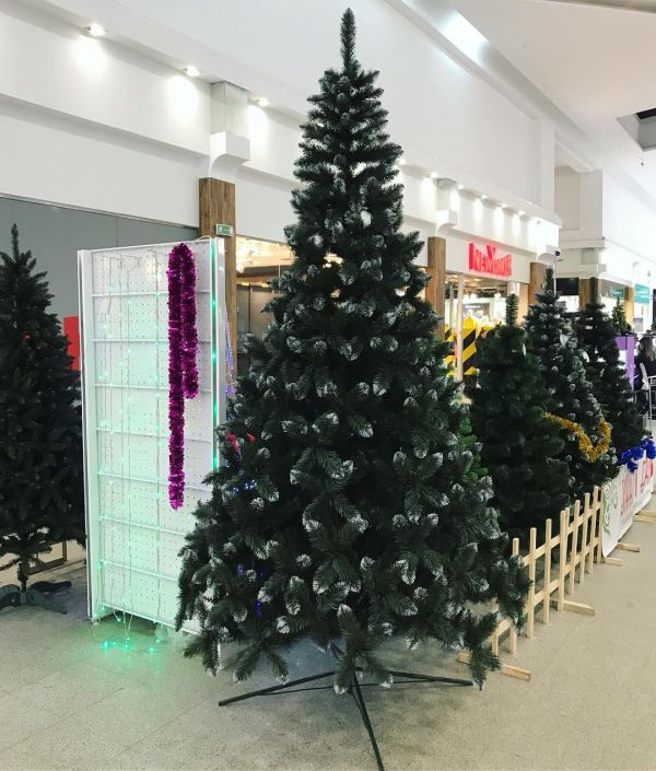 Искусственная ель КАРПАТСКАЯ с белыми кончиками 220 см