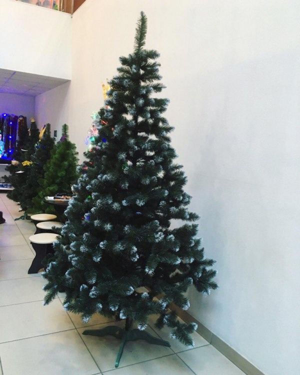 Искусственная ель КАРПАТСКАЯ с белыми кончиками 300 см