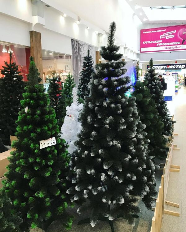 Искусственная ель КАРПАТСКАЯ с белыми кончиками 300 см