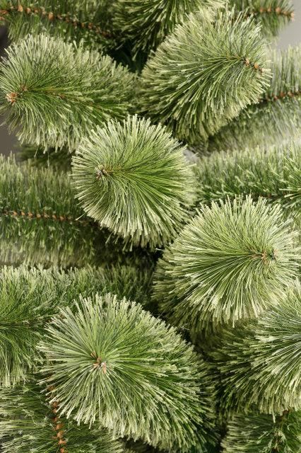 Новогодняя искусственная сосна КРЫМСКАЯ РАСПУШЕННАЯ 240 см
