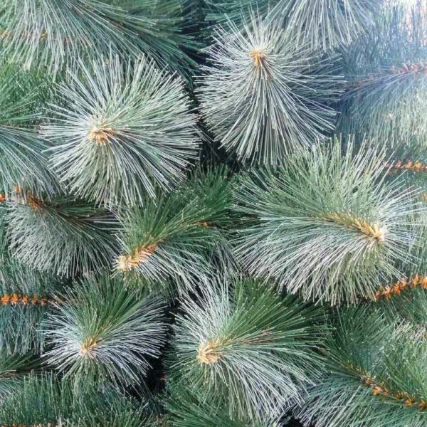 Искусственная сосна КРЫМСКАЯ ТЁМНО-ЗЕЛЁНАЯ 120 см