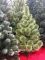 Новогодняя искусственная сосна КРЫМСКАЯ РАСПУШЕННАЯ 120 см