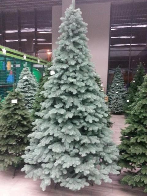 Искусственная голубая силиконовая елка КОВАЛЕВСКАЯ 250 см