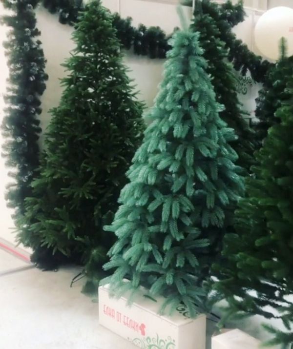 Искусственная новогодняя литая голубая ель БУКОВЕЛЬСКАЯ 210 см