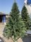 Искусственная новогодняя литая сосна ФИНСКАЯ зелёная 150 см