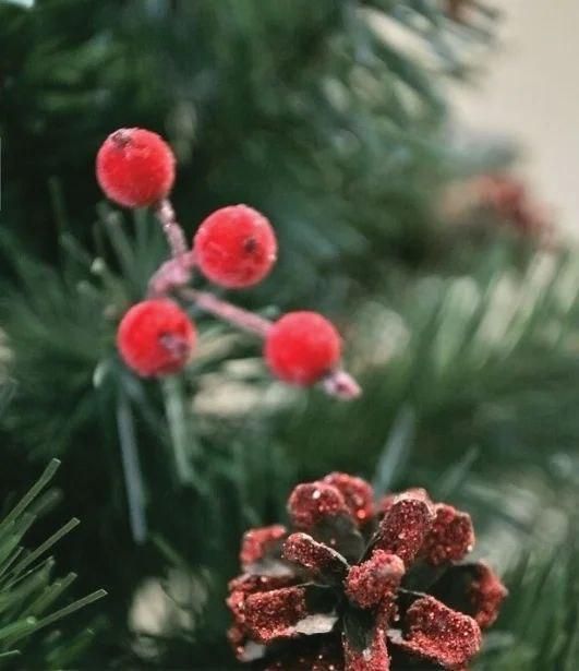 Искусственная ель РОЖДЕСТВЕНСКАЯ с белыми кончиками, шишками и калиной красной 200 см