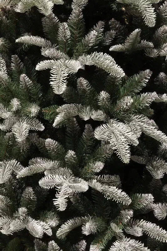 Ялина 1,85 м. Hallarin зелена з інієм