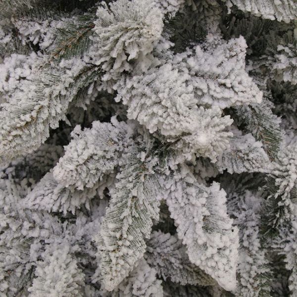 Елка Альпийская заснеженная 230 с