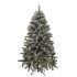 Ялинка лита Буковельська засніжена 210 см