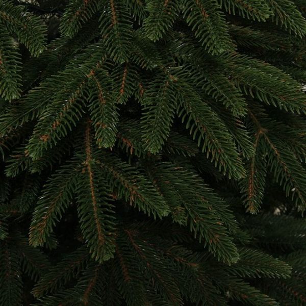 Елка литая Смерека Карпатская зеленая 210 см