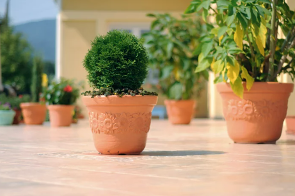 Горшок для цветов садовый Prosperplast Sunny 57 см.