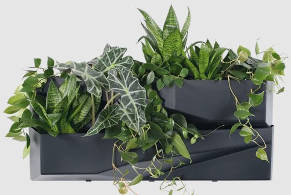 Каскад  для цветов Prosperplast Cascade Wall