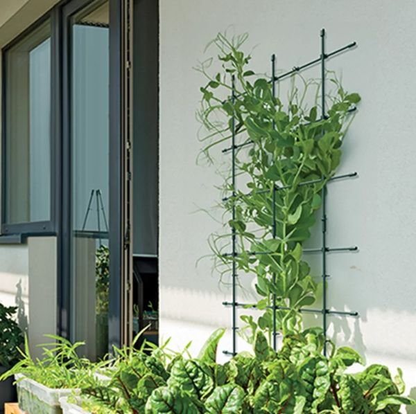 Опора для растений Prospeplast Floo Supports 60х120 см.